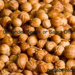 Dhania Seeds or Coriander Seeds