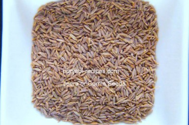 All about Jeera Cumin Seed