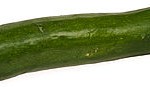 Zucchini